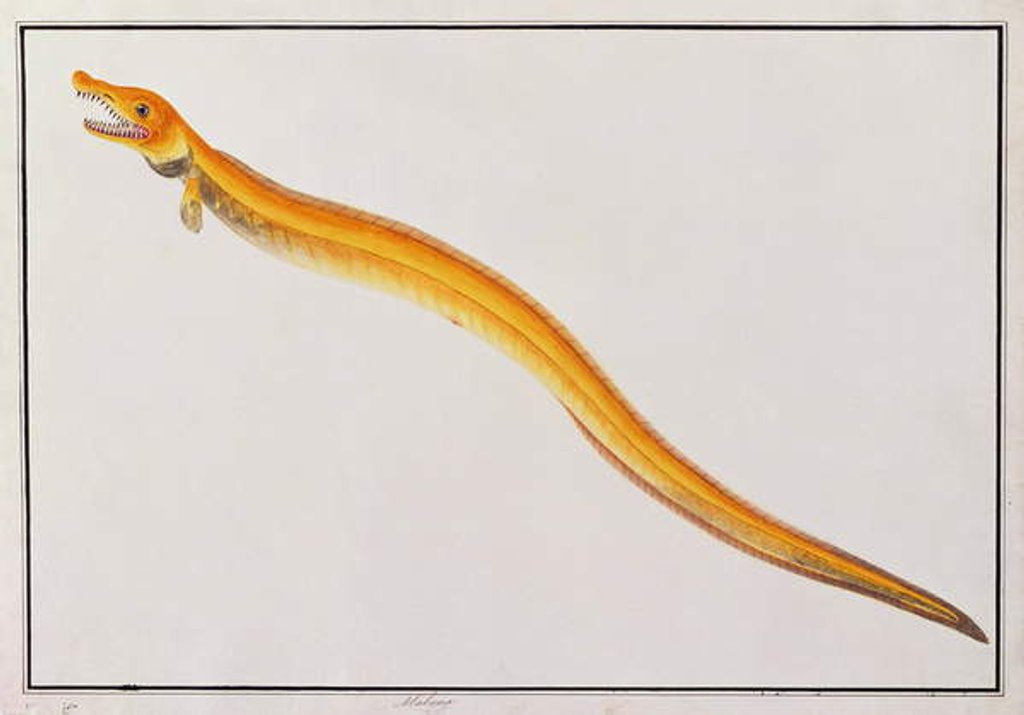 Detail of Malong by School Chinese