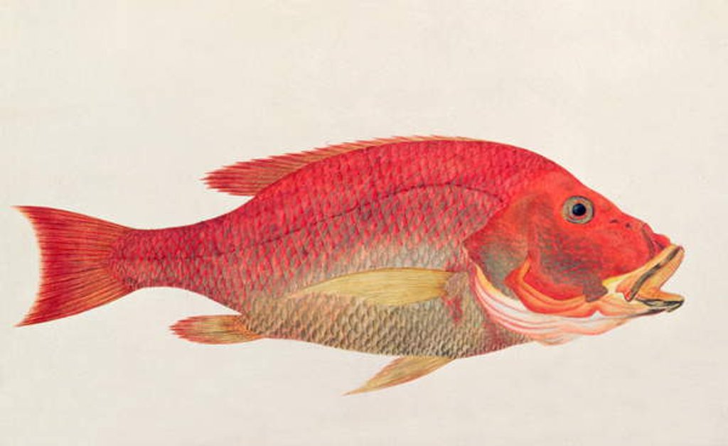 Detail of Eekan Bambangan by School Chinese