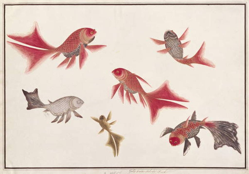 Detail of Gold and Silver Fish by School Chinese