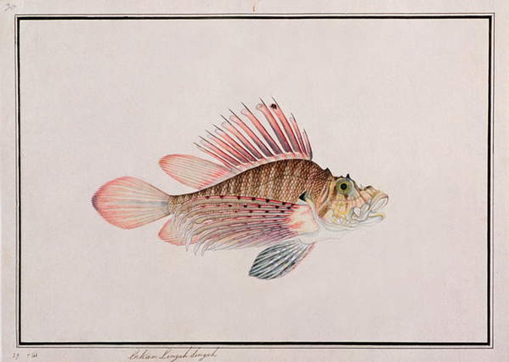 Detail of Eekan Linqah Singah by School Chinese