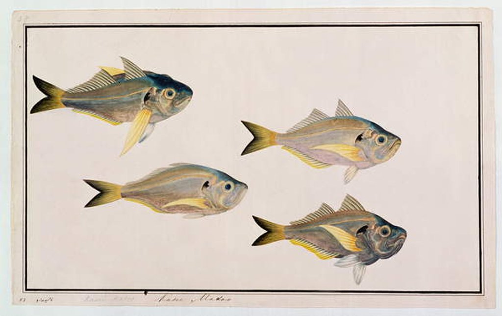 Detail of Kasee Madoo by School Chinese