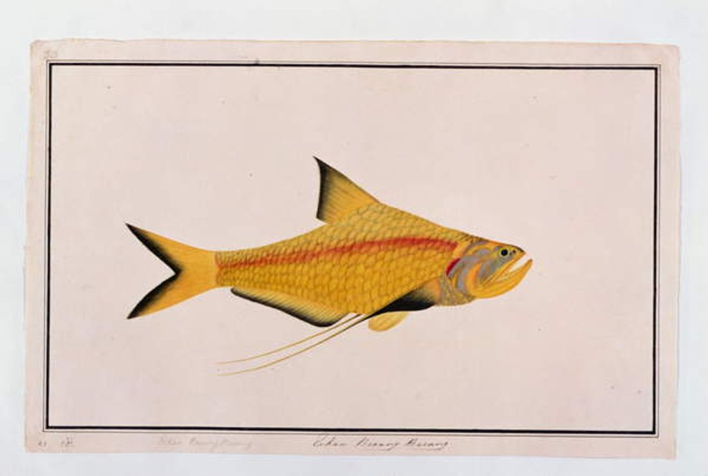 Detail of Eekan Bieung Bieung by School Chinese