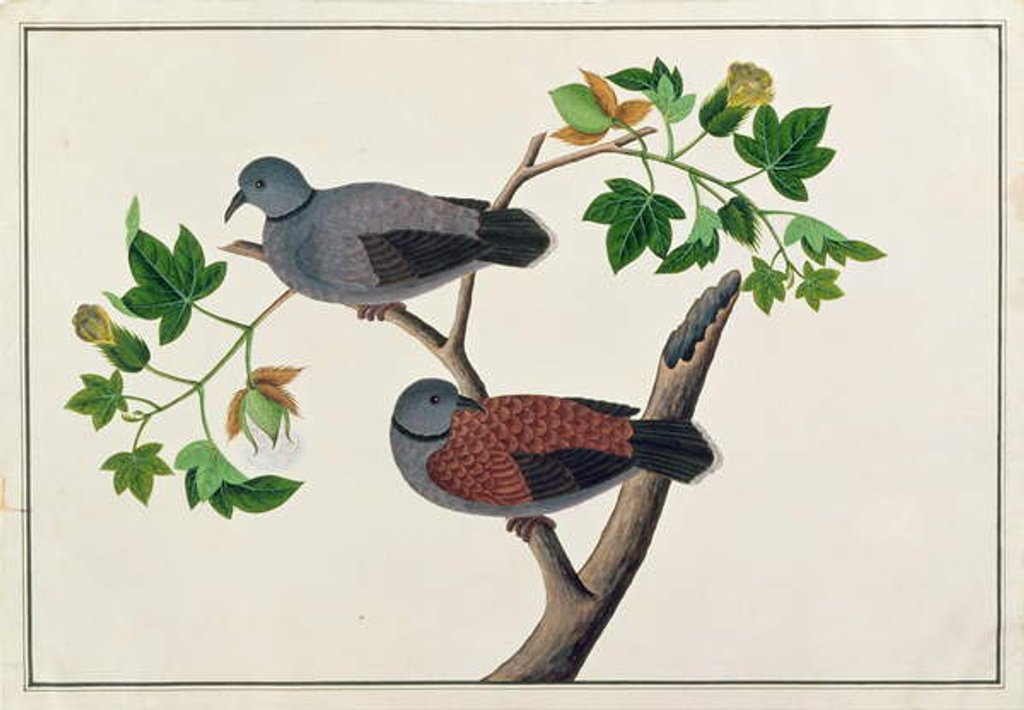 Detail of Birds in a tree by School Chinese