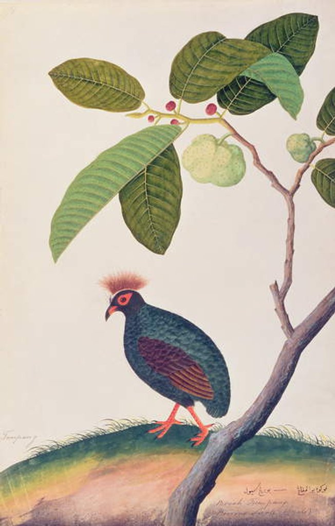 Detail of Booah Tumpang by School Chinese