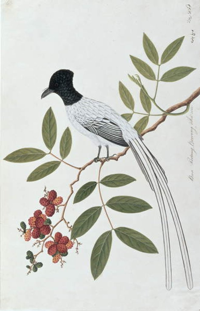 Detail of Bua Redang Boorong cha-wie by School Chinese