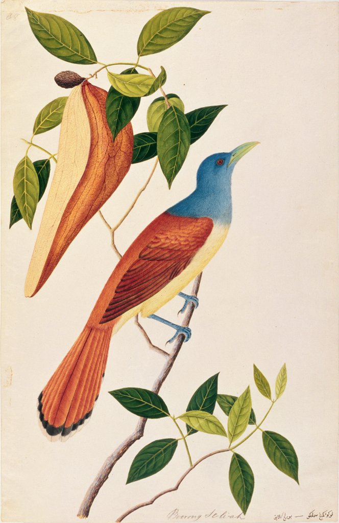 Detail of Boorong Seli-ah by School Chinese