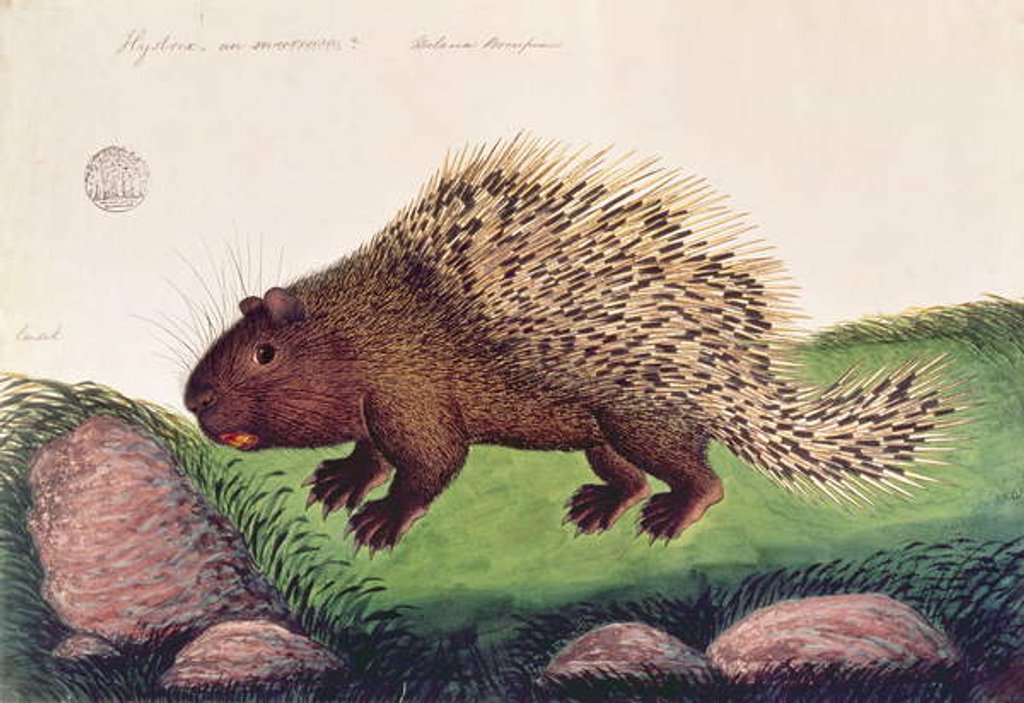 Detail of Dammai Batoo by School Chinese