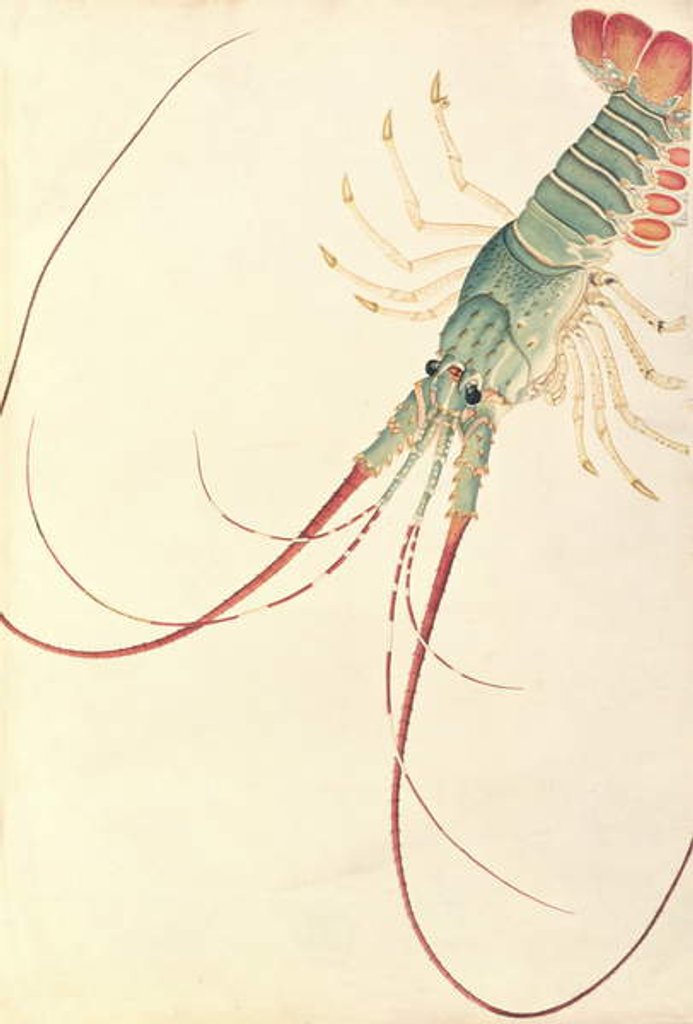 Detail of Oodang Katik la-ote by School Chinese