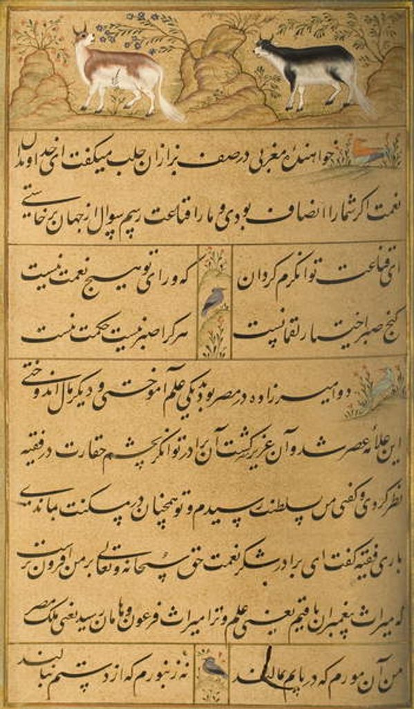 Detail of Manuscript of the Gulistan of Sa'di, 1787 by Persian School