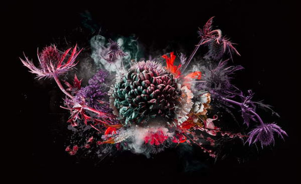 Detail of Bouquet X, 2016 by Teis Albers