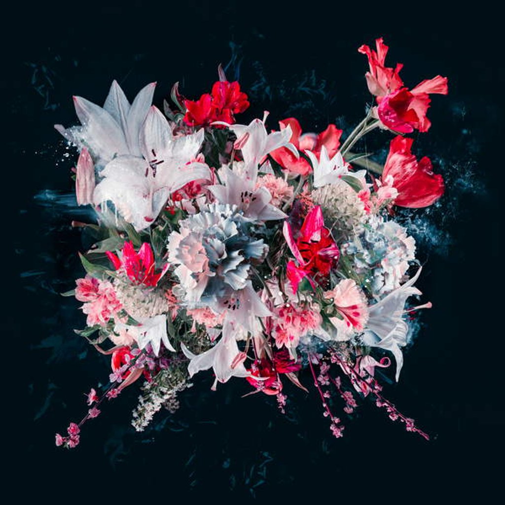 Detail of Bouquet V, 2018 by Teis Albers