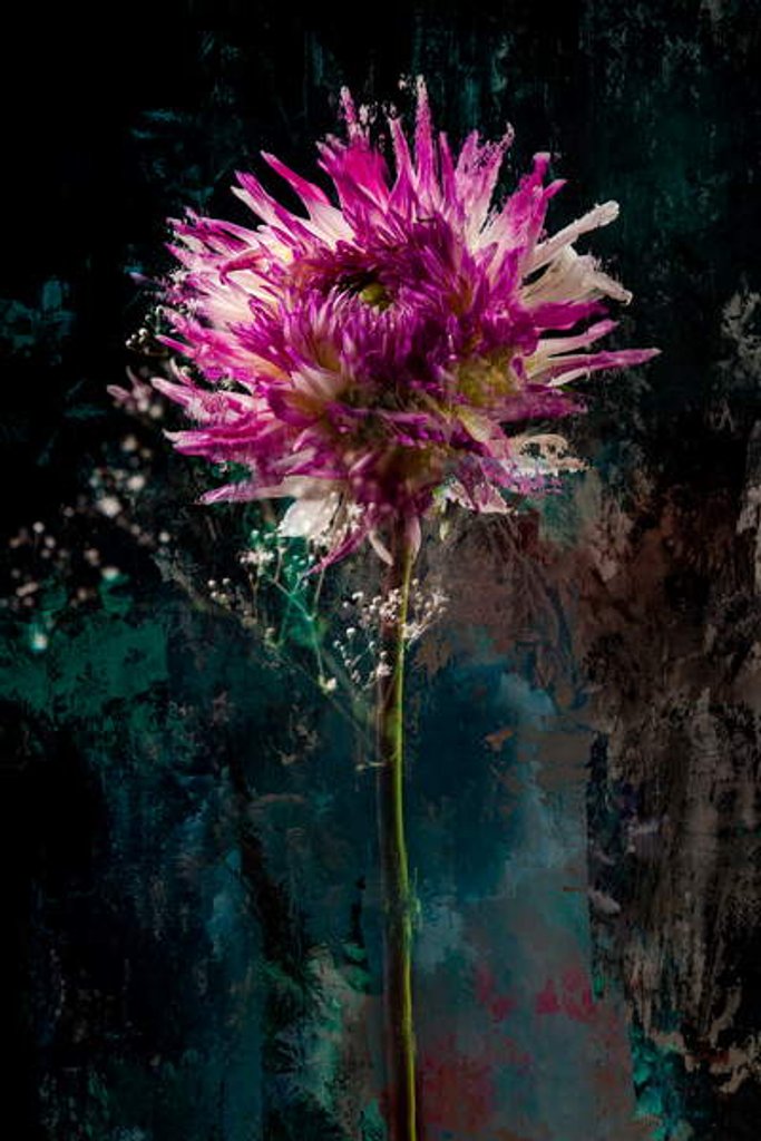 Detail of Sugarplum, 2018 by Teis Albers