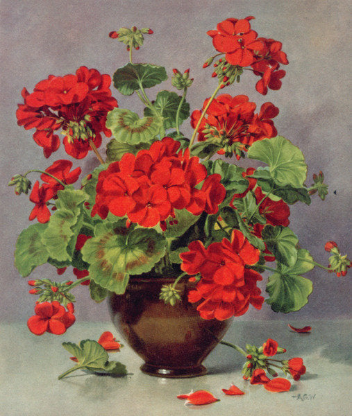 Detail of PB/273 Geranium in an Earthenware Vase by Albert Williams