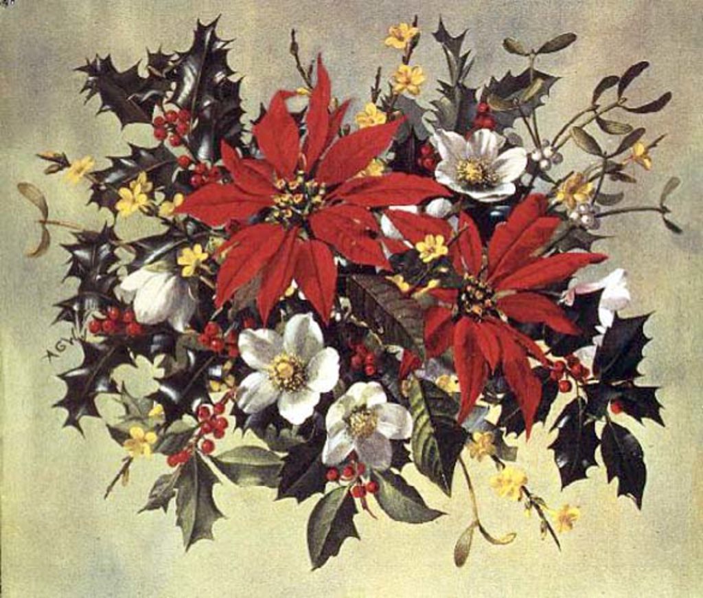 Detail of PB/274 Christmas Flowers by Albert Williams