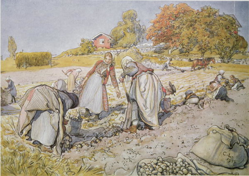 Detail of Digging Potatoes, 1905 by Carl Larsson