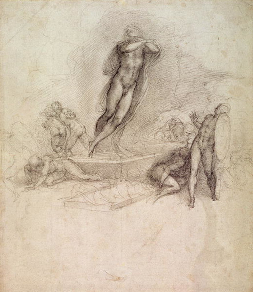 Detail of Study for an Ascension by Michelangelo Buonarroti