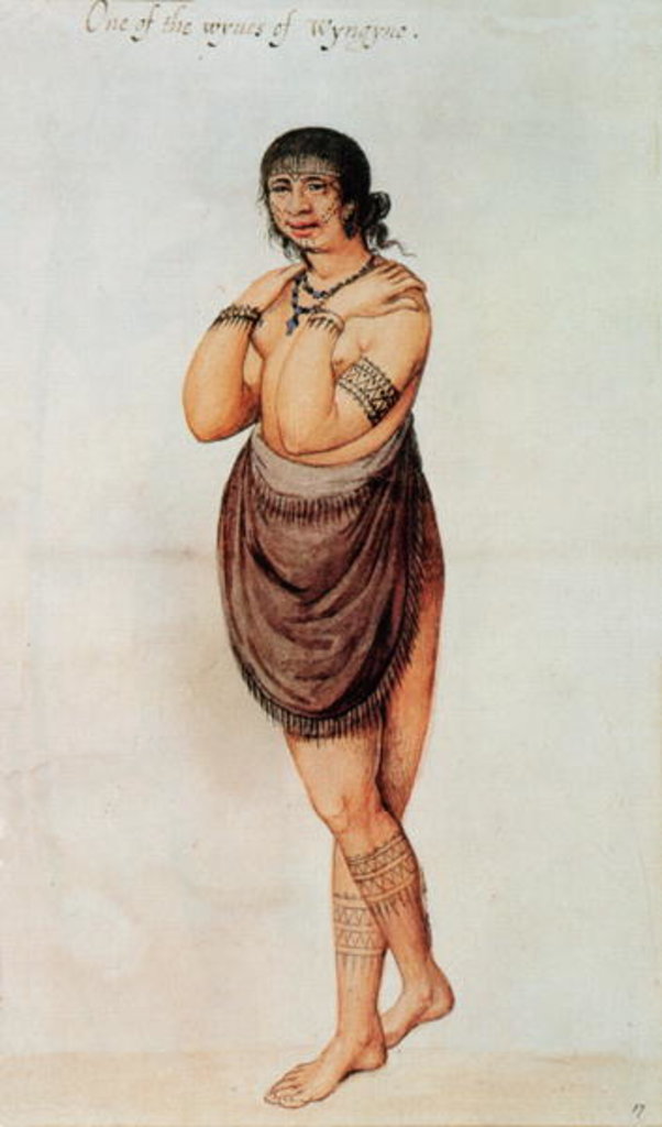 Detail of Indian Woman by John White