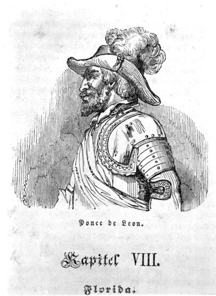 Detail of Juan Ponce de Leon by German School