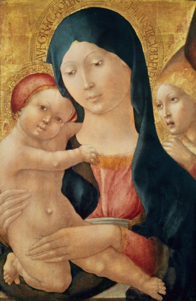 Detail of Virgin and Child with an Angel, c.1468-70 by (c.1445-1527) Liberale da Verona