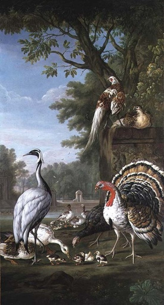 Detail of Group of Exotic Birds by Pieter Casteels