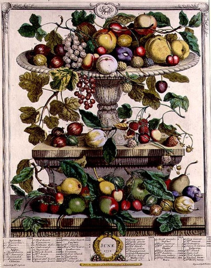 Detail of June by Pieter Casteels (after)