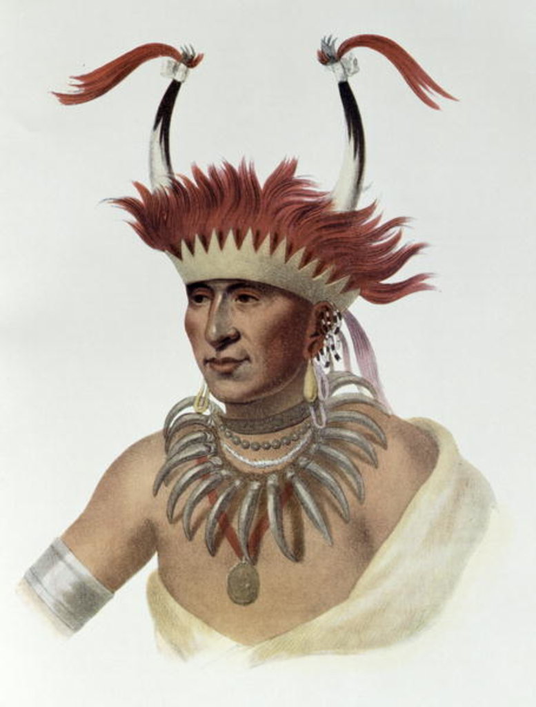Detail of Chon-Mon-I-Case or 'L'Ietan', an Oto Half-chief, 1821 by Charles Bird King