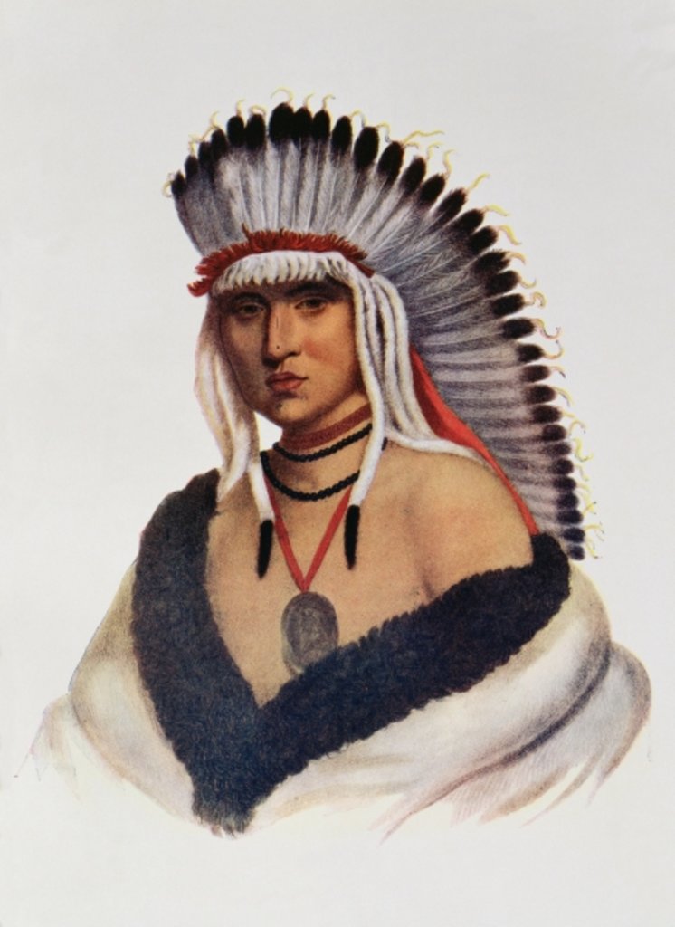 Detail of Petalesharro, a Pawnee Brave by American School