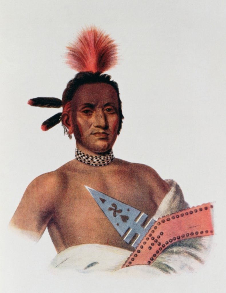 Detail of Moa-Na-Hon-Ga or 'Great Walker', an Iowa Chief, 1824 by Charles Bird King