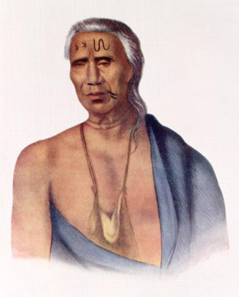 Detail of Lap-Pa-Win-Soe, a Delaware Chief by Gustavus