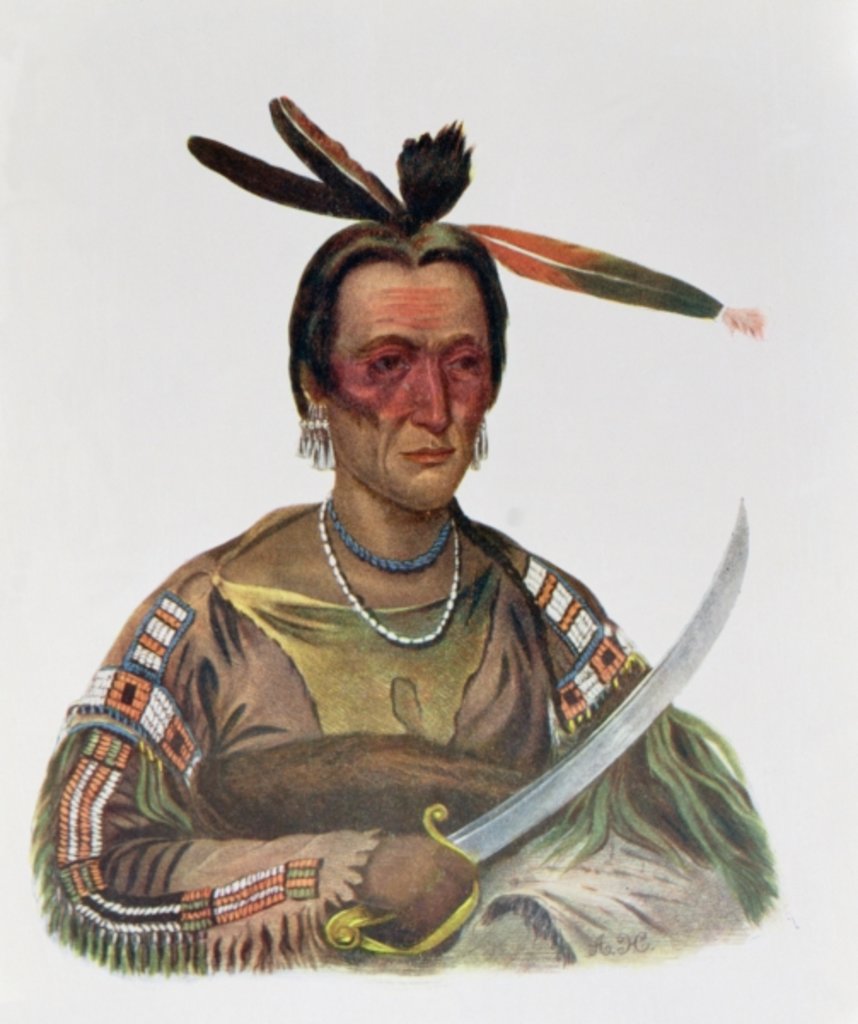 Detail of To-Ka-Cou, a Yankton Sioux Chief, 1837 by George Cooke