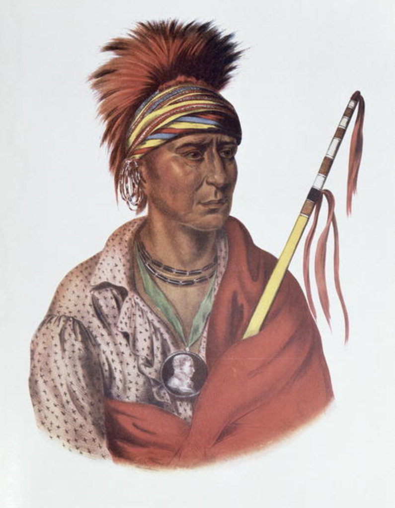 Detail of Notchimine or No Heart, an Iowa Chief, 1837 by Charles Bird King