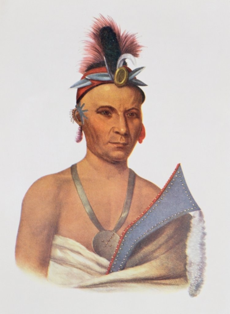 Detail of Keesheswa or 'the Sun', a Fox Chief, c.1837 by Charles Bird King