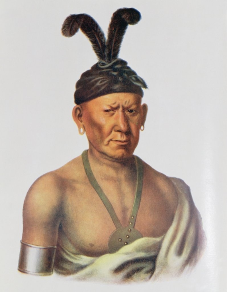 Detail of Wakechai or 'Crouching Eagle', a Sauk Chief by Charles Bird King