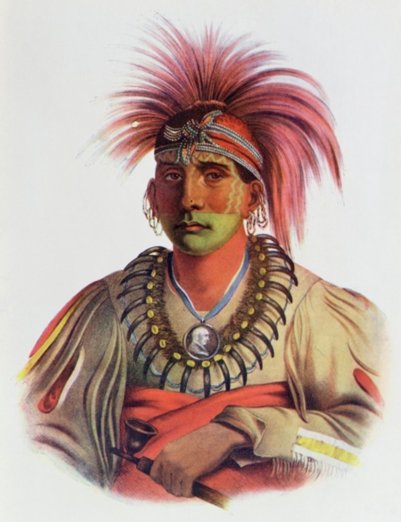 Detail of Nowaykesugga, an Otto by Charles Bird King