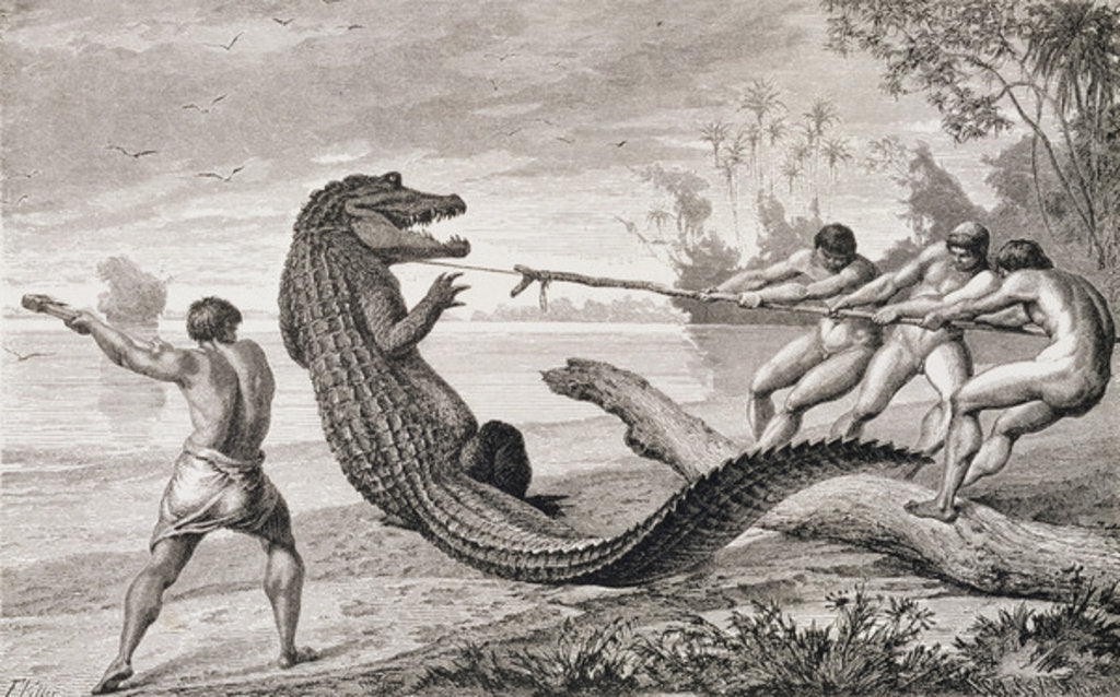 Detail of Catching an alligator with lasso by American School