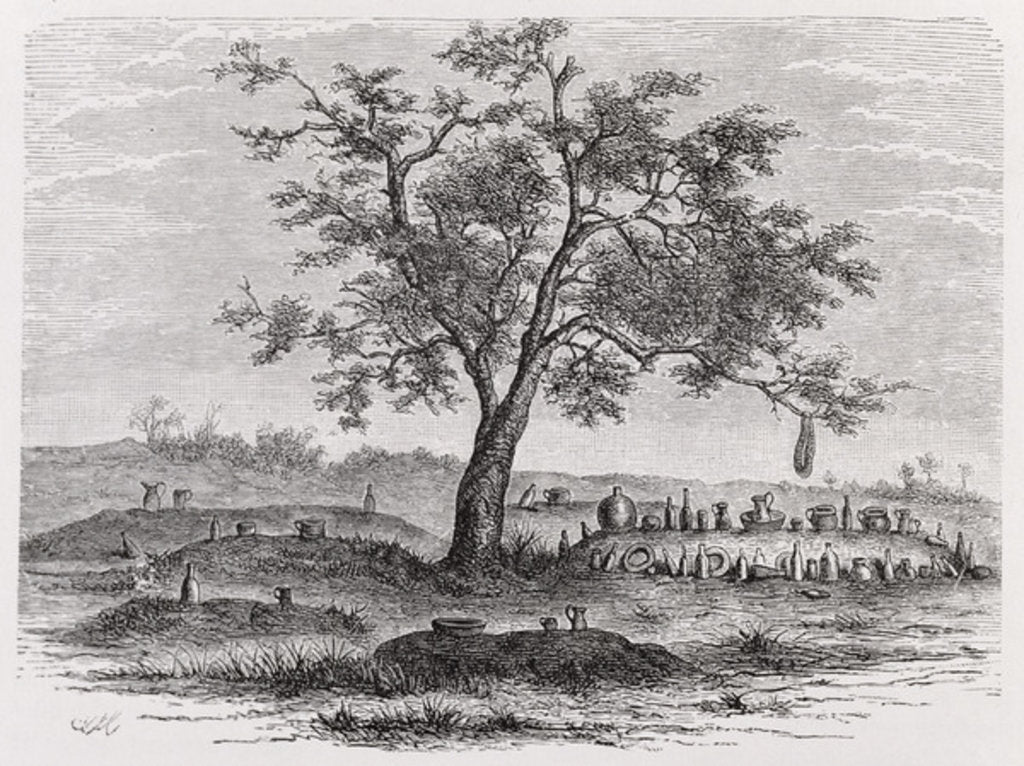 Detail of Cemetery and sacred tree in Mbinda by English School