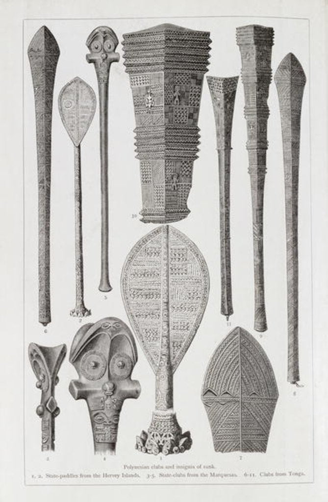Detail of Polynesian clubs and insignia of rank by English School