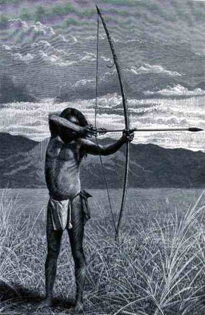 Detail of A Veddah of Ceylon shooting with the bow by Emil Schmidt