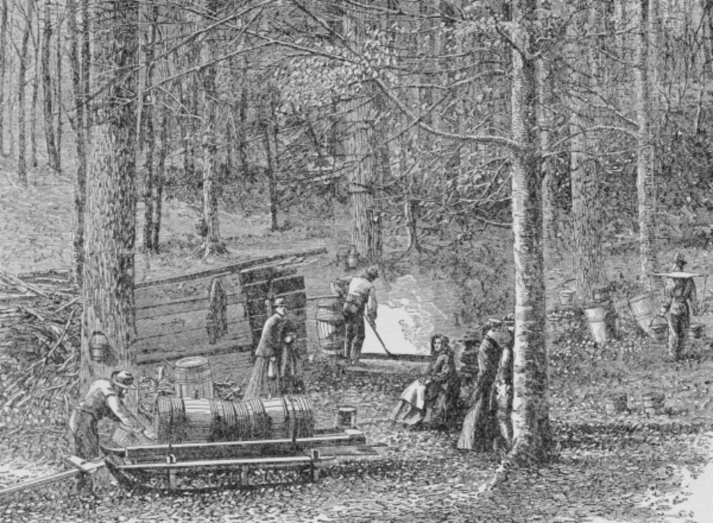 Detail of At the Maple Syrup Camp by (after) American School