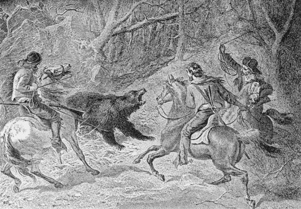 Detail of Roping a Grizzly by Felix Octavius Carr (after) Darley