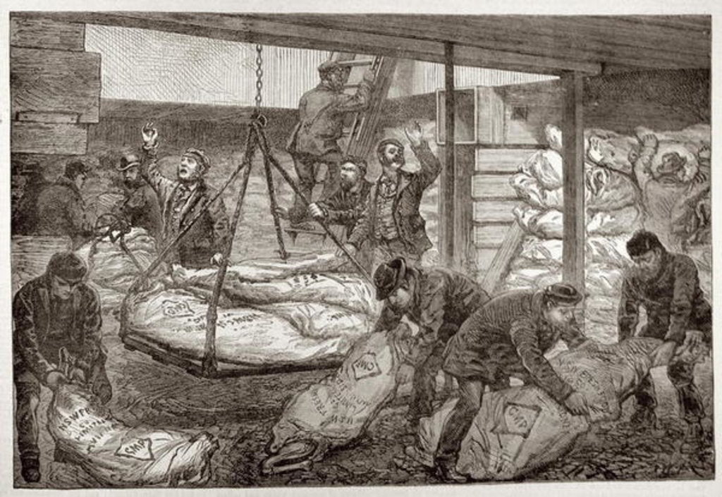 Detail of Landing Australian Frozen Meat from Sydney in the South West India Dock, Millwall by English School