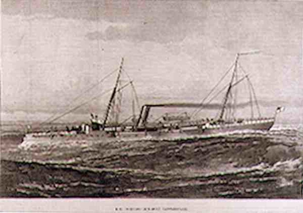 Detail of H.M. Torpedo Gun-Boat 'Rattlesnake' by English School