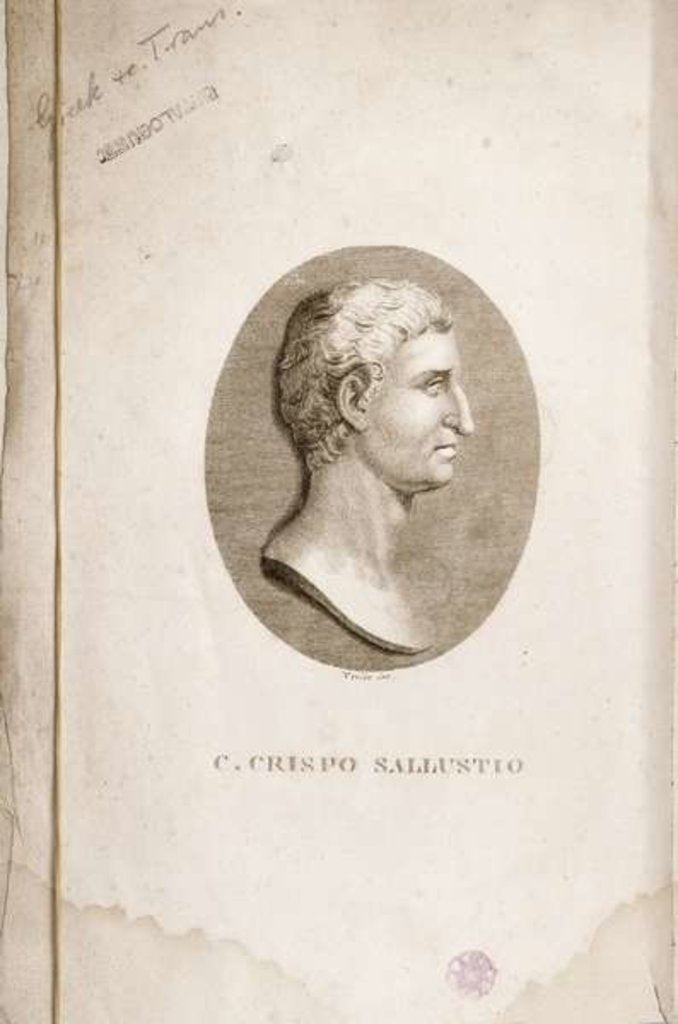 Detail of Portrait of Gaius Crispus Sallust engraved by Antonio Verico by Italian School