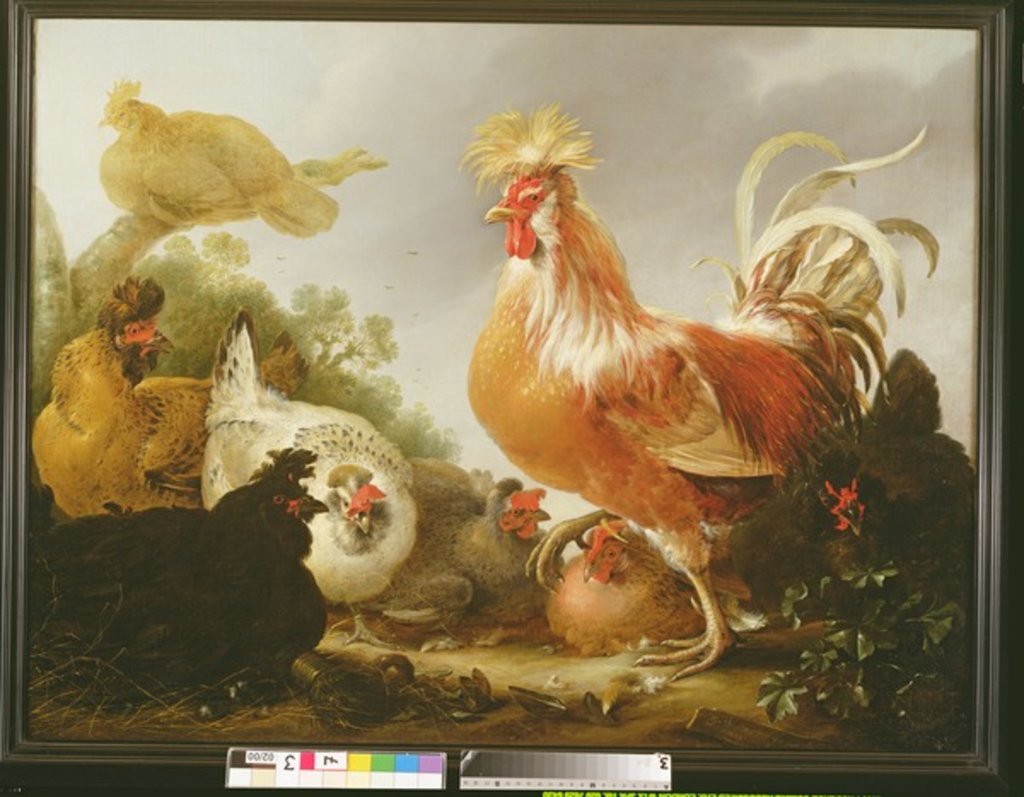 Detail of Cockerel and hens in a landscape, 1649 by Gysbert Hondecoeter