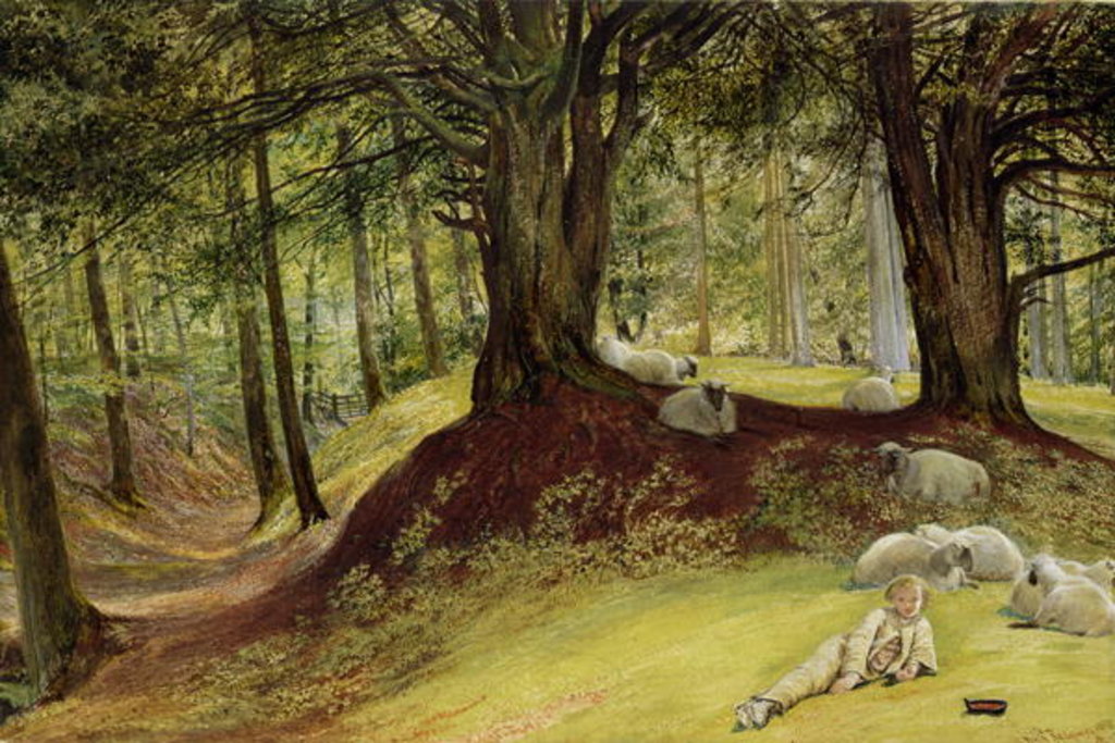 Detail of Parkhurst Woods, Abinger, Surrey by Richard Redgrave