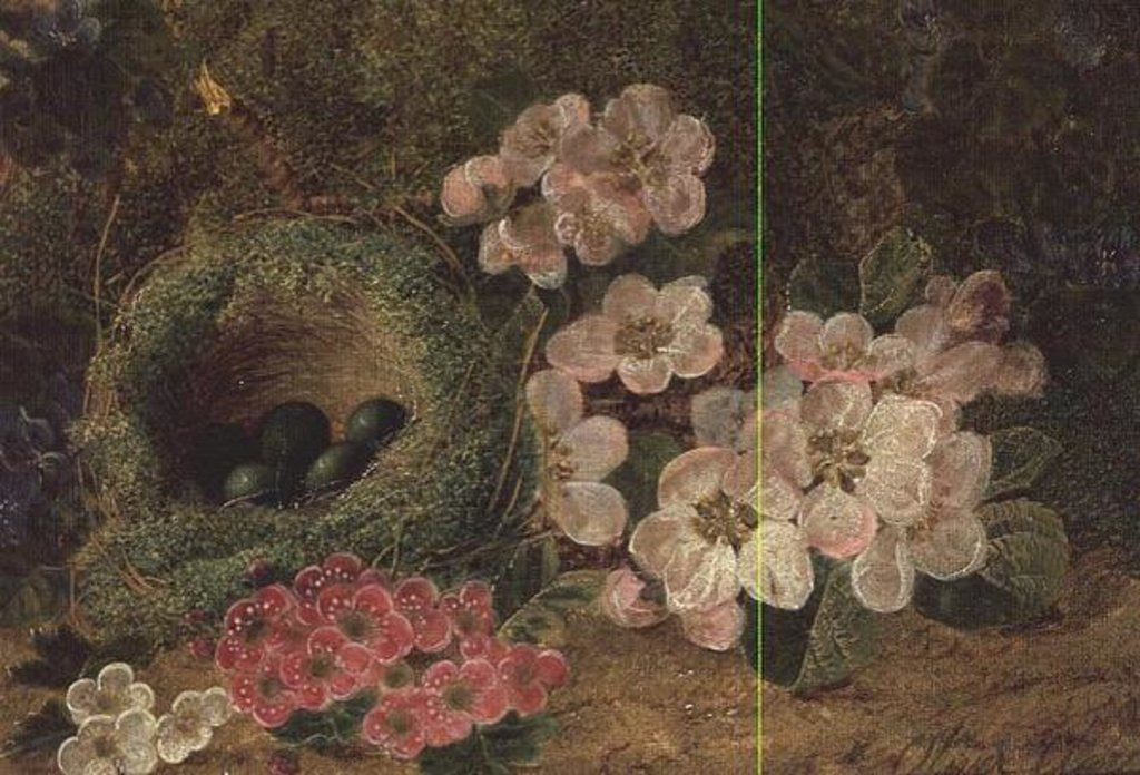 Detail of Primroses by a Bird's Nest by Oliver Clare