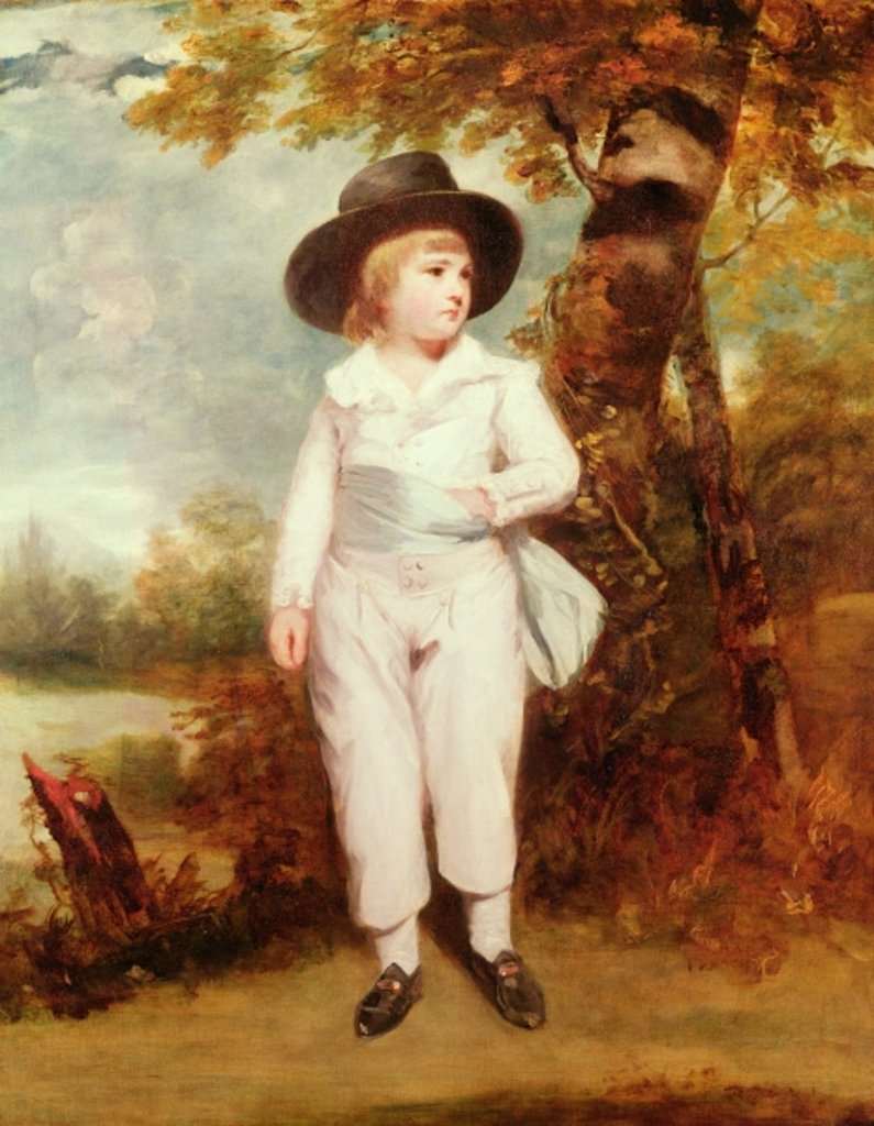Detail of John Charles Spencer, Viscount Althorp, 1786 by Joshua Reynolds