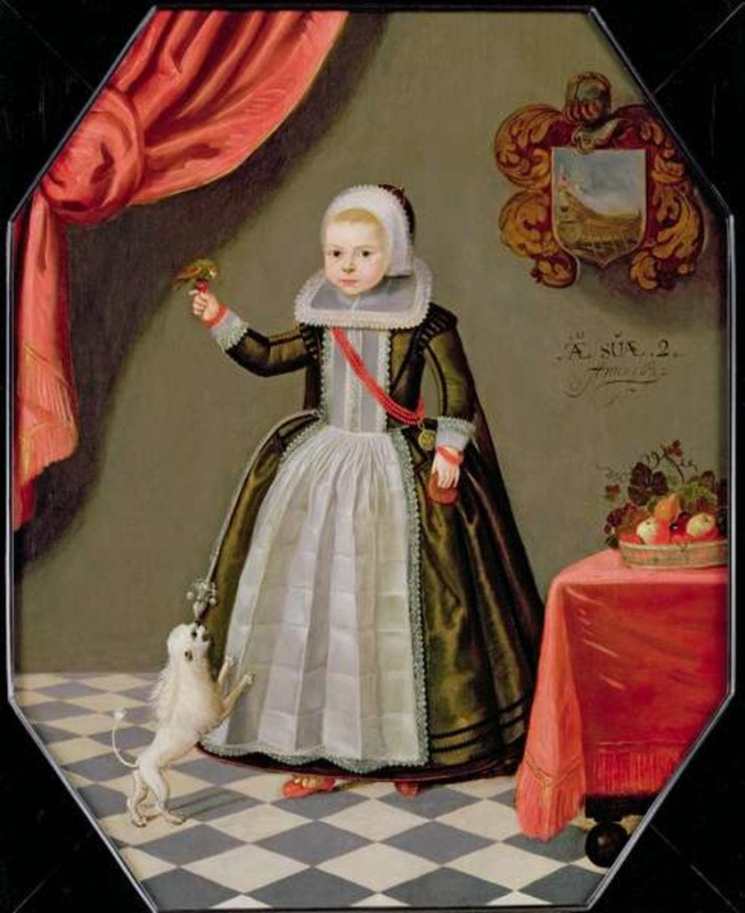 Detail of Portrait of a Young Girl with a Bird on her Finger and a Dog at her Feet, 1632 by Dutch School
