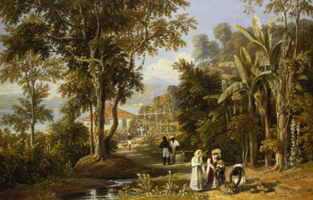 Detail of Garden Scene on the Braganza Shore, Rio de Janeiro, 1827 by William Havell