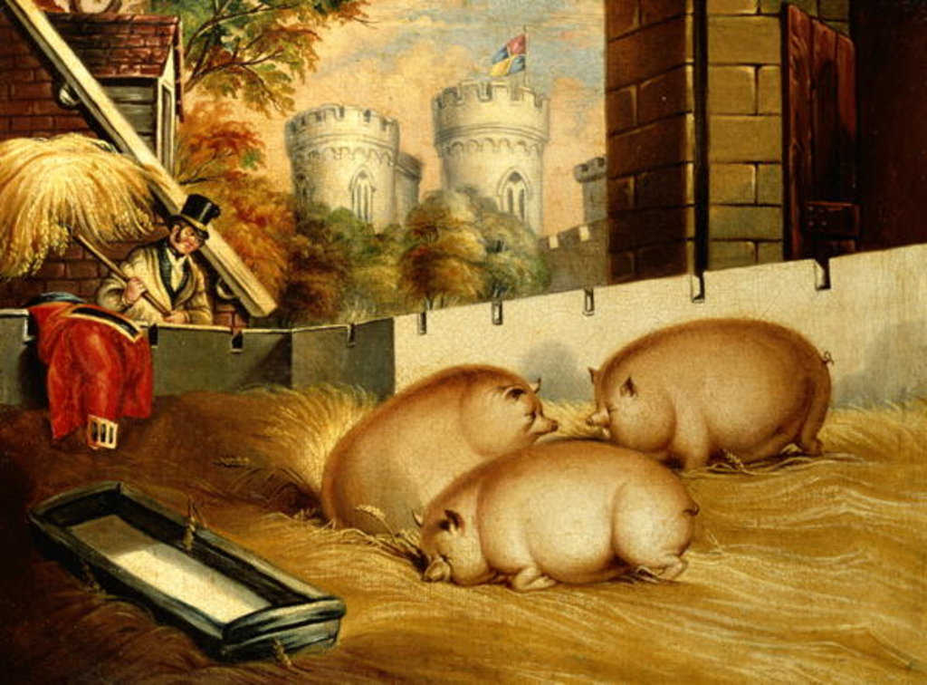 Detail of Three Pigs with Castle in the Background by English School